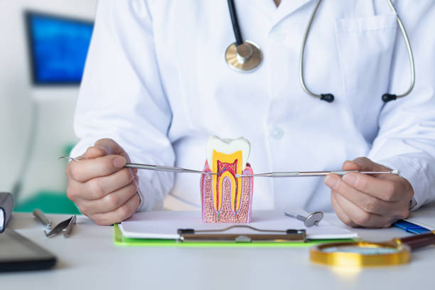 Best Emergency Dentist for Lost Fillings or Crowns in Town And Country, MO